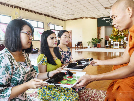 All About Burmese Hair: What You Need to Know