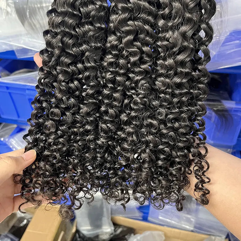 12A Raw Vietnamese Virgin Hair Weaving Curly